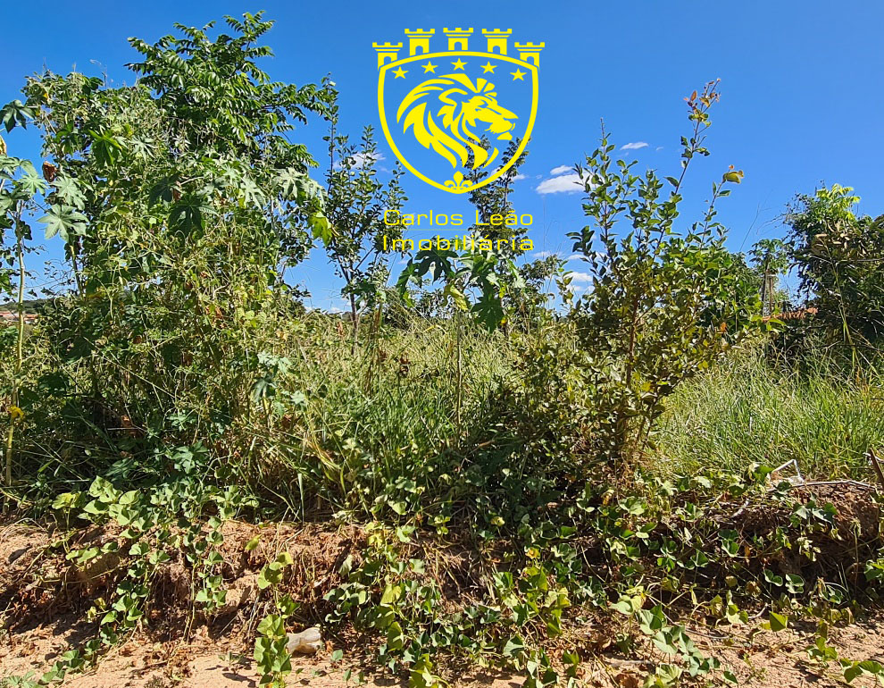 Lote/terreno à venda em Augusto de Lima, no bairro centro