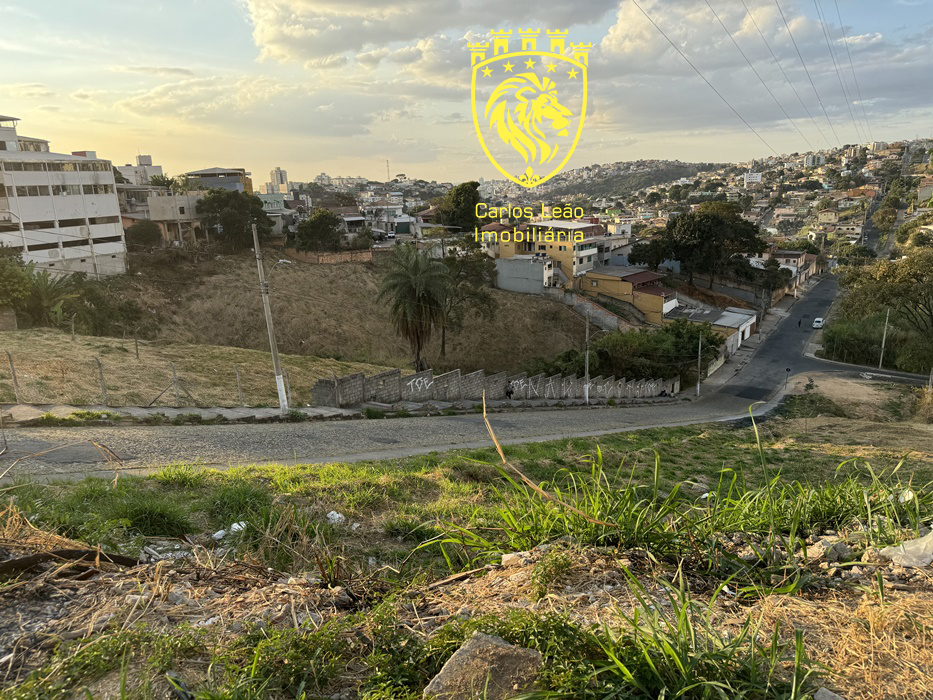 Lote/terreno à venda em Belo Horizonte, no bairro Palmeiras